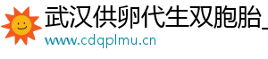 武汉供卵代生双胞胎_武汉公司_武汉供卵公司	